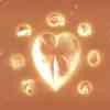 Damp Heart