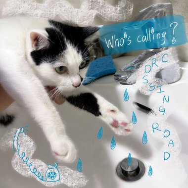 Who's Calling?