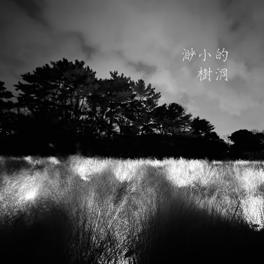 渺小的樹洞（demo）