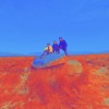 Apollo 41