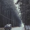 6000 Miles