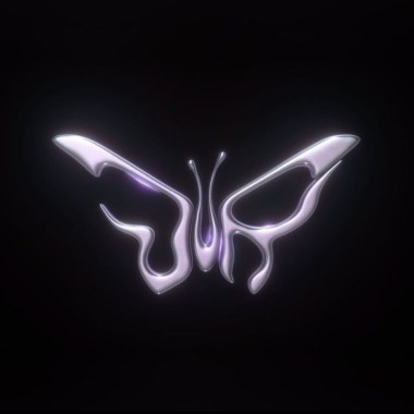 Ms. Butterfly