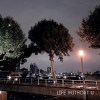 LIFE WITHOUT YOU