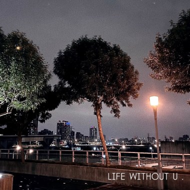 LIFE WITHOUT YOU