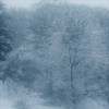 Siłeñce - 疆雪