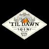 DJ MR.GIN - 到天亮 Feat TIPSY