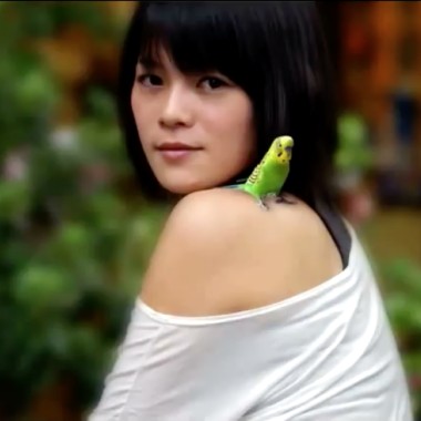 Little Bird