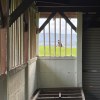 邑川