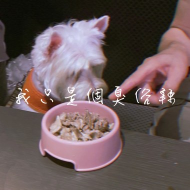我只是個臭俗辣