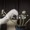 魔人貓貓
