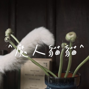 魔人貓貓