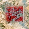 Silver Lining