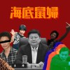 作文demo