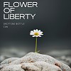 自由之花 Flower Of Liberty - 漂流瓶-伊恩