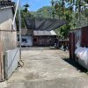 屋子裡的音樂與屋子外的雞叫