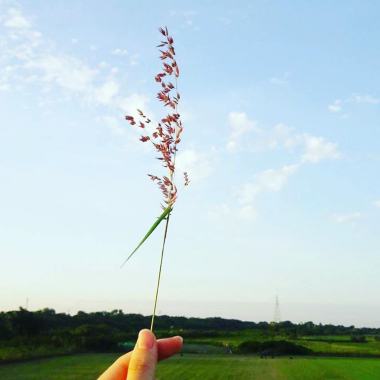 你啊早安。