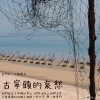 【金門的一百種聲音】古寧頭的哀愁