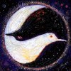 Raven