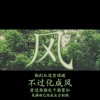 风