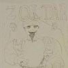 Zoltar