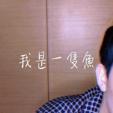 我是一隻魚 (任賢齊)