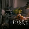 對你著迷Demo