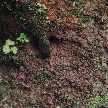 輕柔翻土 Turning the Soil with Gentle Hands