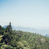 藍天綠地