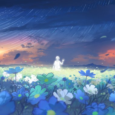 波斯菊盛開的地方