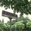 东体育会路罗曼史