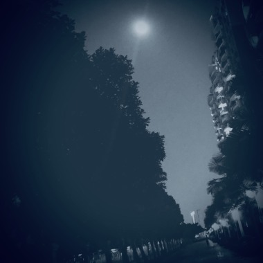 Moon Light
