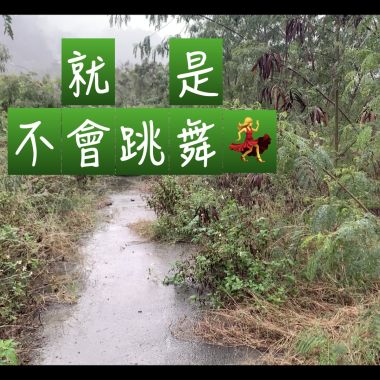 就是不會跳舞