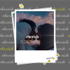 Cherish