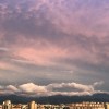 浮生
