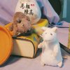 民族幻想_陀螺