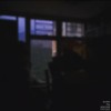 不正理 Why feat. haybozo