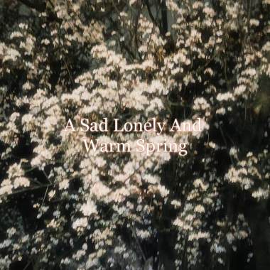 A sad lonely and warm spring