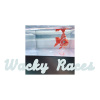 Wacky Race