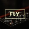 Fly