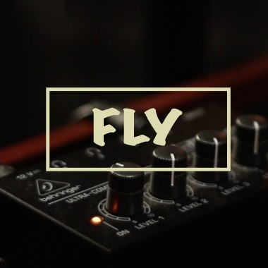 Fly