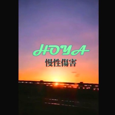 HOYA  | 慢性傷害