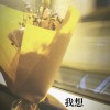 我想REMIX (feat.NANCY)