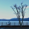 冬天在下雪？