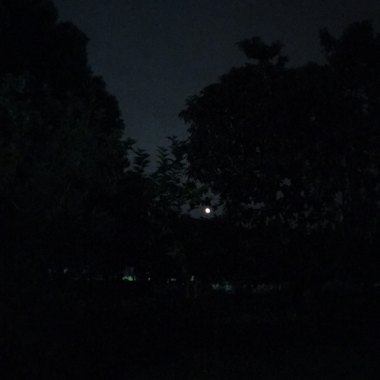 夜空中最亮的星Cover