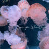 Deep Water