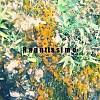 AM FM (Excerpt)
