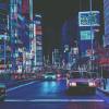 2020'S Night - 绑架小猫咪