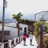 媽媽 Mama (Demo)