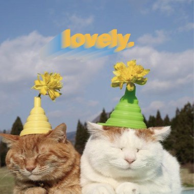 lovely.