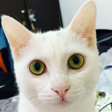 不是妳的錯